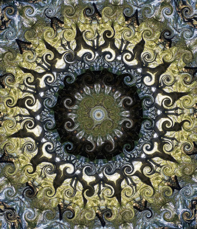 tree_kaleidoscope_curly